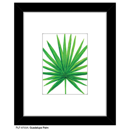 Guadalupe Palm, Print (#8703A)