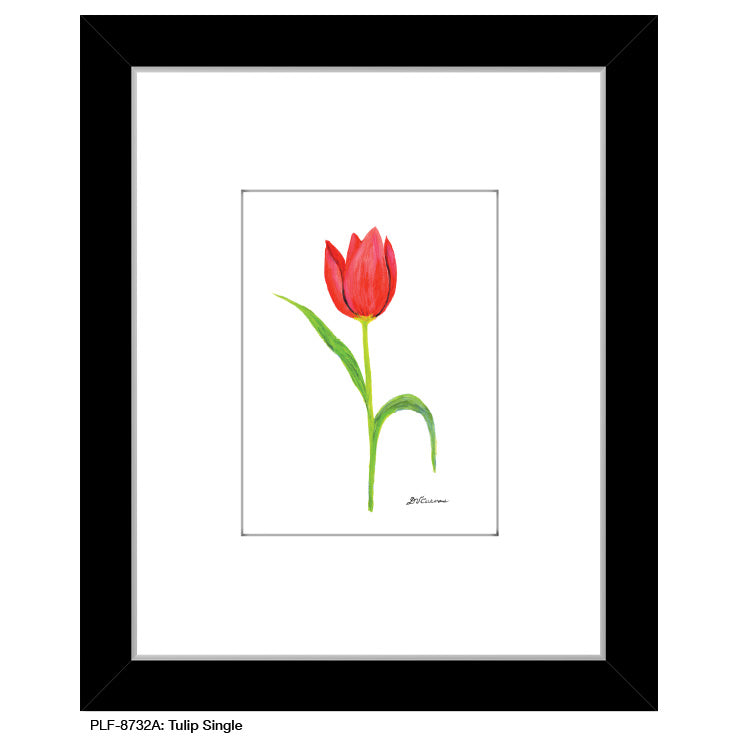 Tulip Single, Print (#8732A), Print Matted, www.printedcanvas.com