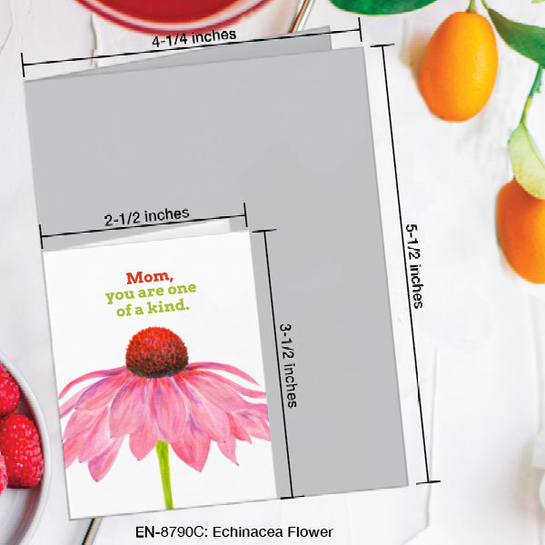Echinacea Flower, Greeting Card (8790C), Enclosure, www.printedcanvas.com