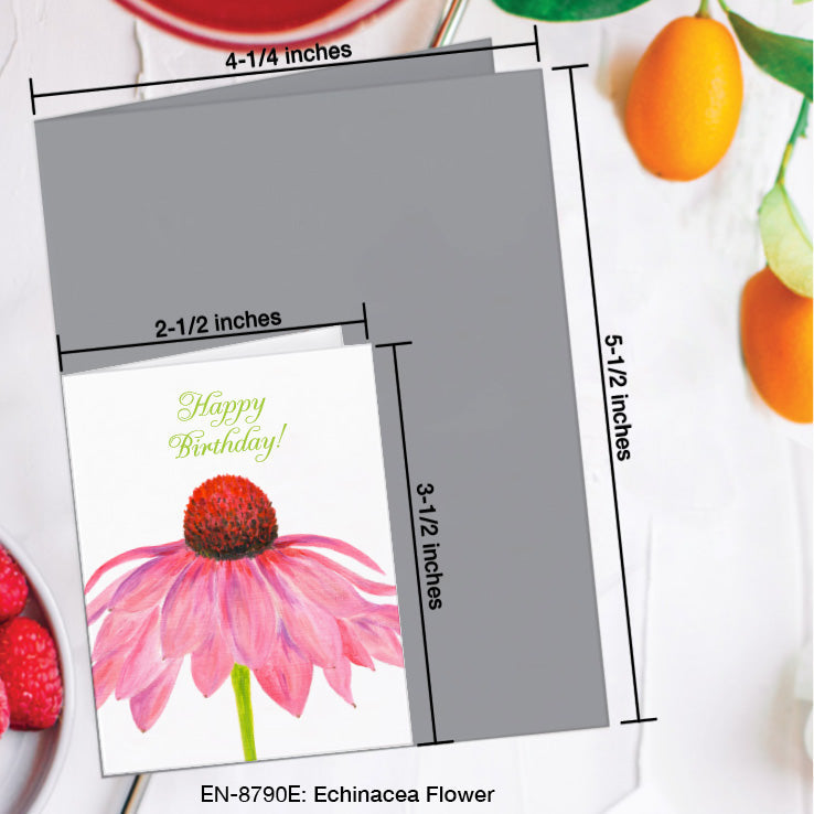Echinacea Flower, Greeting Card (8790E), Enclosure, www.printedcanvas.com
