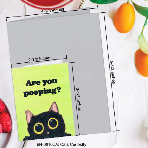 Cats Curiosity, Greeting Card (8810CA), Enclosure, www.printedcanvas.com