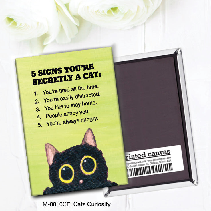 Cats Curiosity, Magnet (M-8810CE)