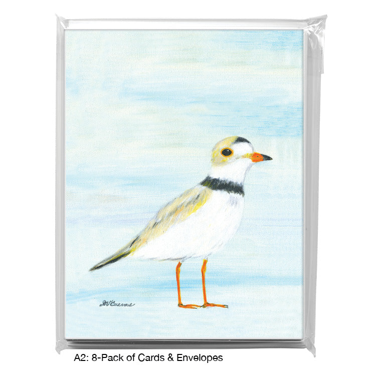 Piping Plover, Greeting Card (8814B), A2 8-Pack, printedcanvas.com