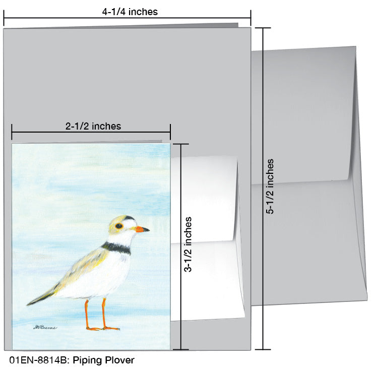 Piping Plover, Greeting Card (8814B), Enclosure, www.printedcanvas.com