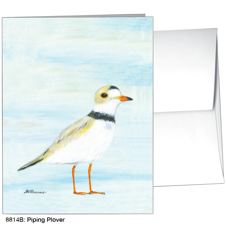 Piping Plover, Greeting Card (8814B), A2 Card, printedcanvas.com