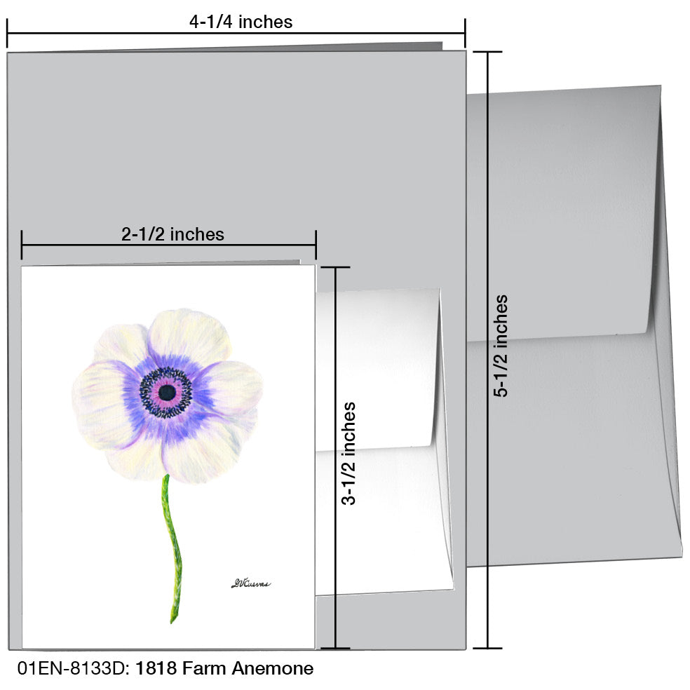1818 Farm Anemone, Greeting Card (8133D), Enclosure Card, www.printedcanvas.com