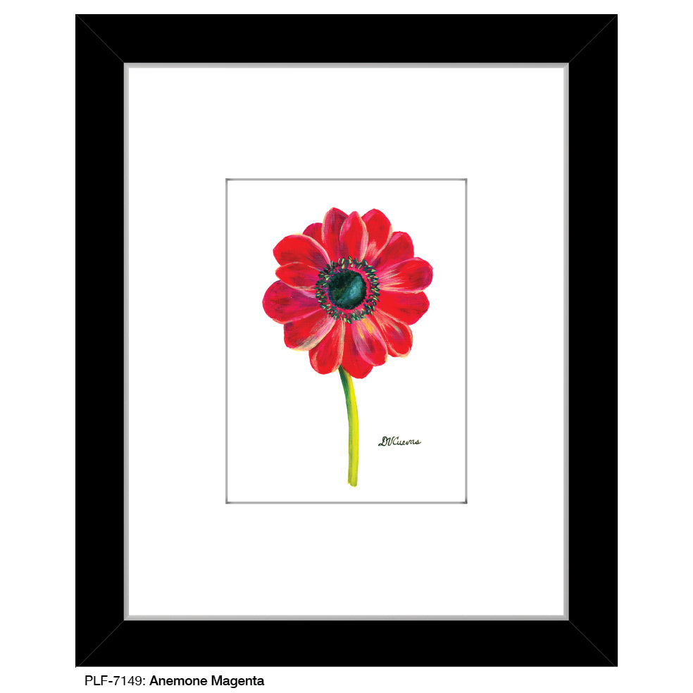 Anemone Magenta, Print (#7149A), Print Matted, www.printedcanvas.com