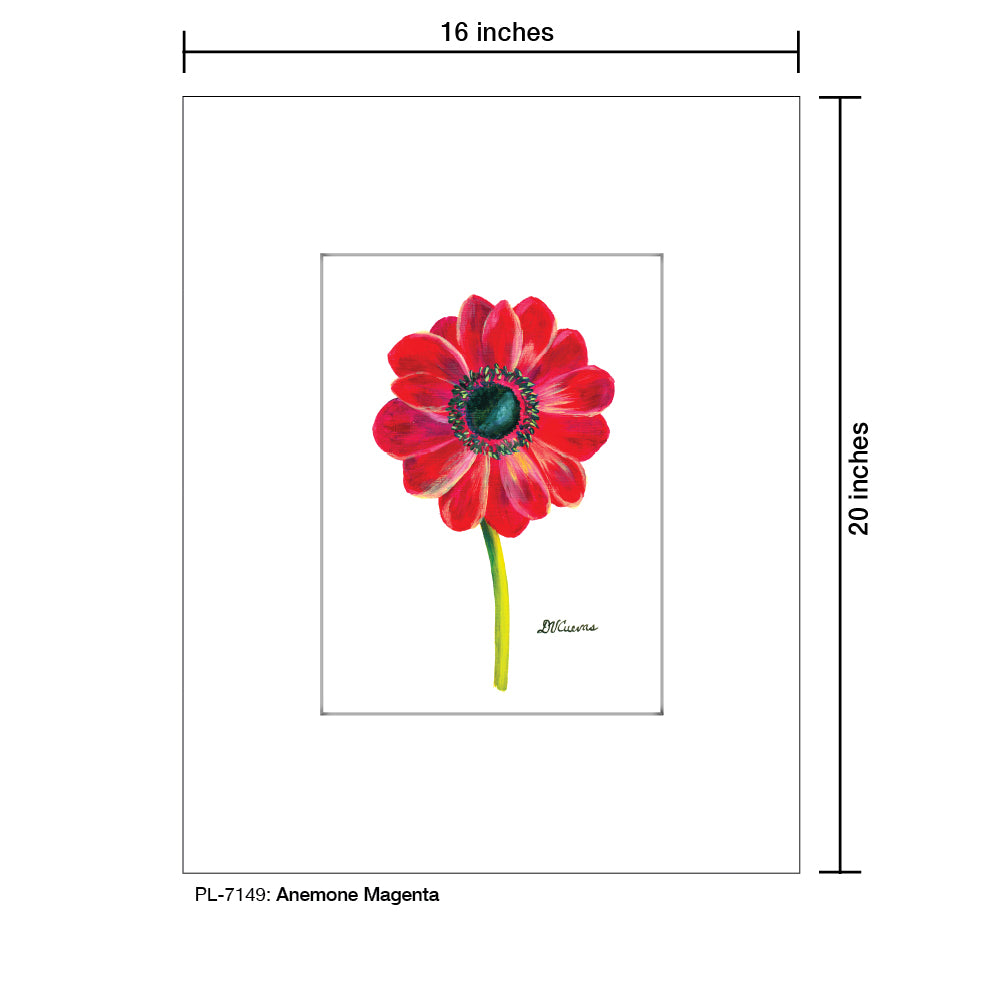 Anemone Magenta, Print (#7149A), Printe Matted, www.printedcanvas.com