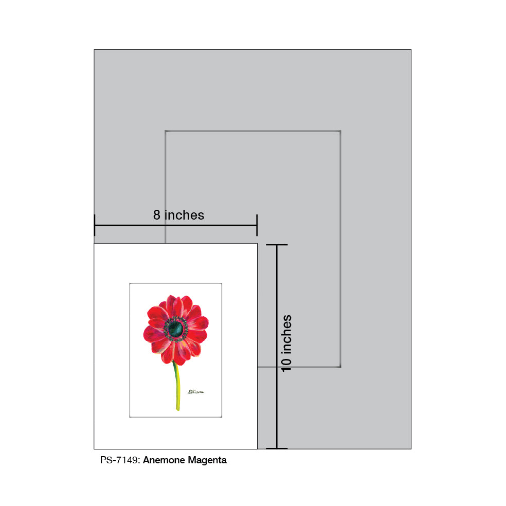 Anemone Magenta, Print (#7149A), Print Matted, www.printedcanvas.com