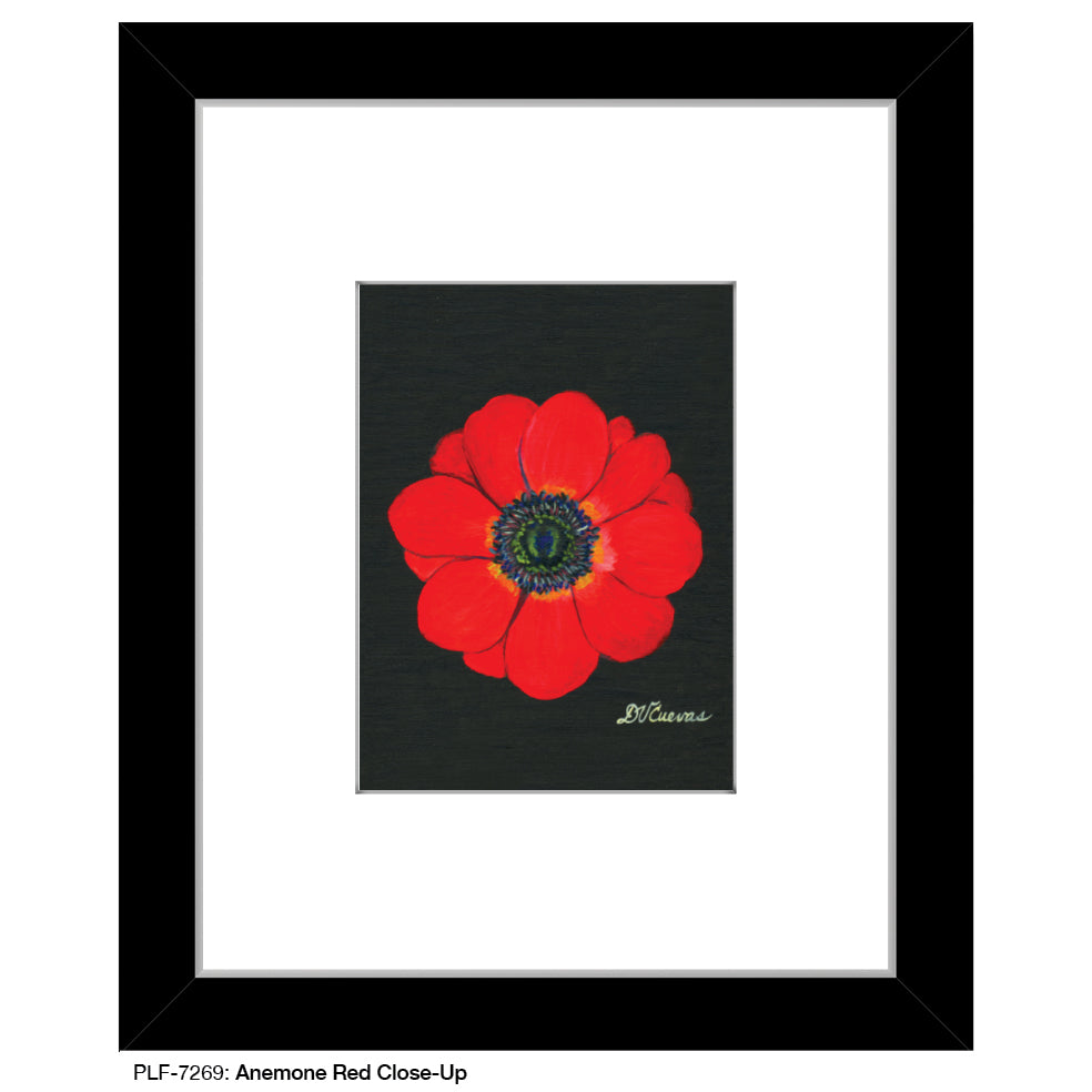 Anemone Red Close-Up, Print (#7269A), Print Matted, www.printedcanvas.com