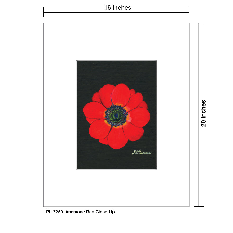 Anemone Red Close-Up, Print (#7269A), Printe Matted, www.printedcanvas.com