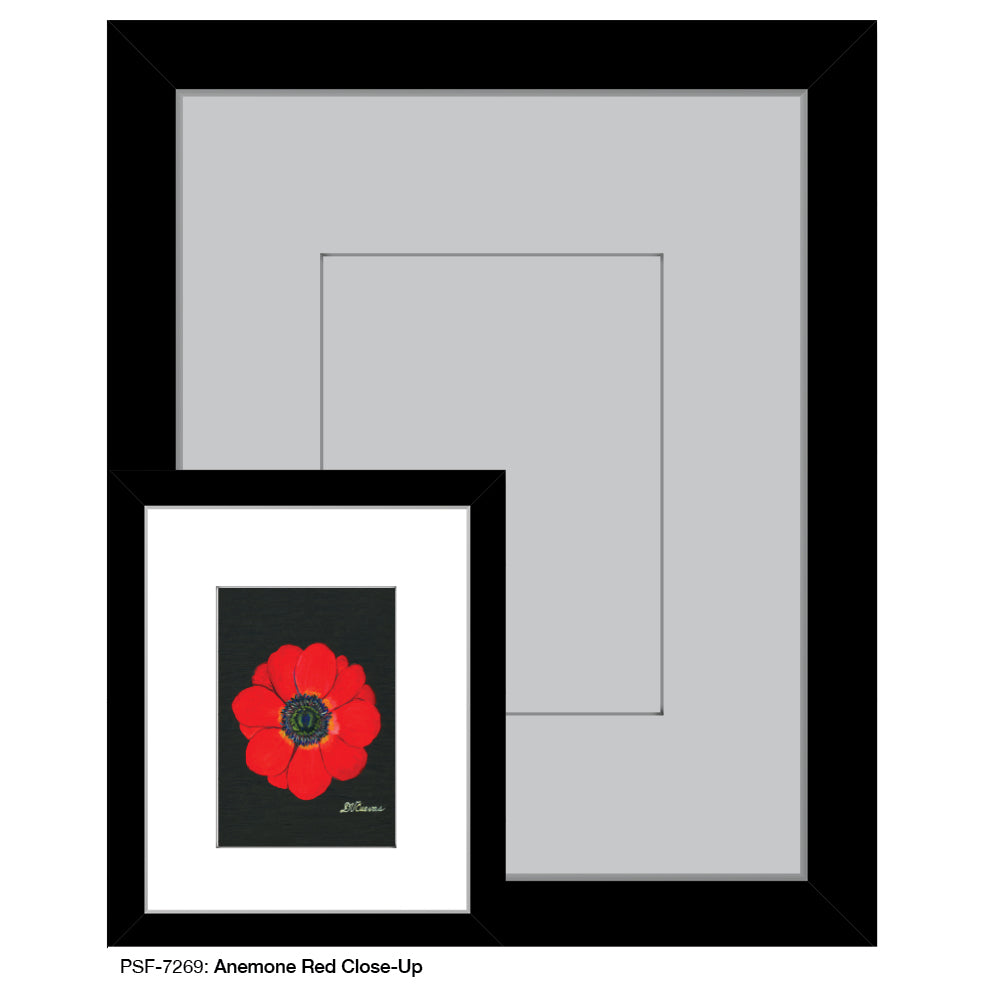 Anemone Red Close-Up, Print (#7269A), Print Matted, www.printedcanvas.com