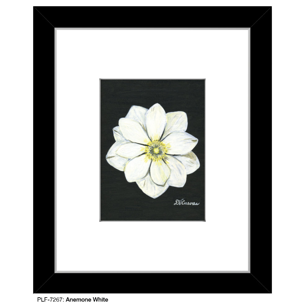 Anemone White, Print (#7267A), Print Matted, www.printedcanvas.com