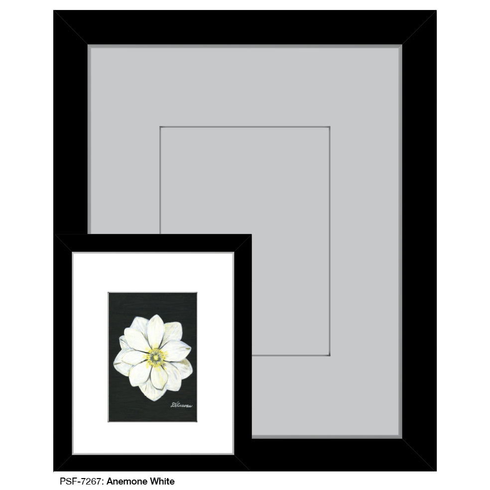 Anemone White, Print (#7267A), Print Matted, www.printedcanvas.com