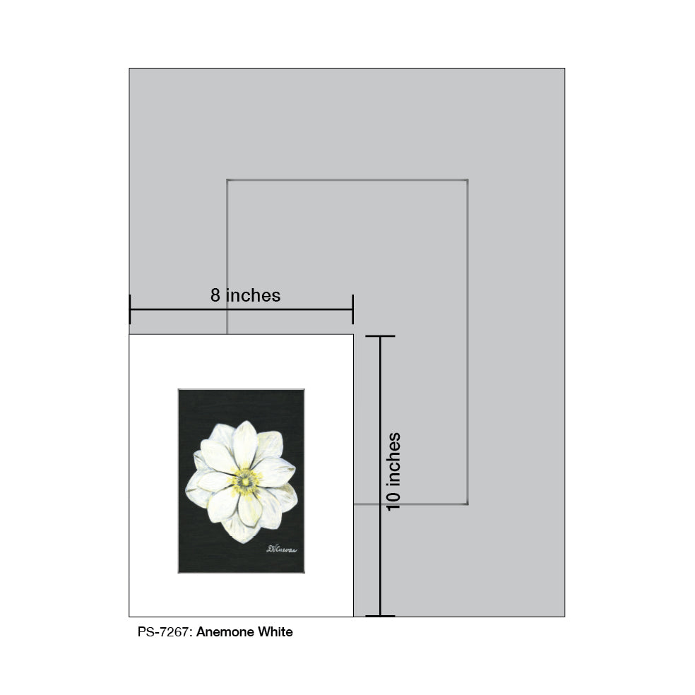 Anemone White, Print (#7267A), Print Matted, www.printedcanvas.com