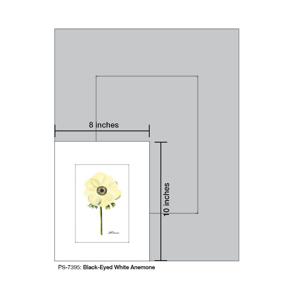 Black-Eyed White Anemone, Print (#7395D), Print Matted, www.printedcanvas.com