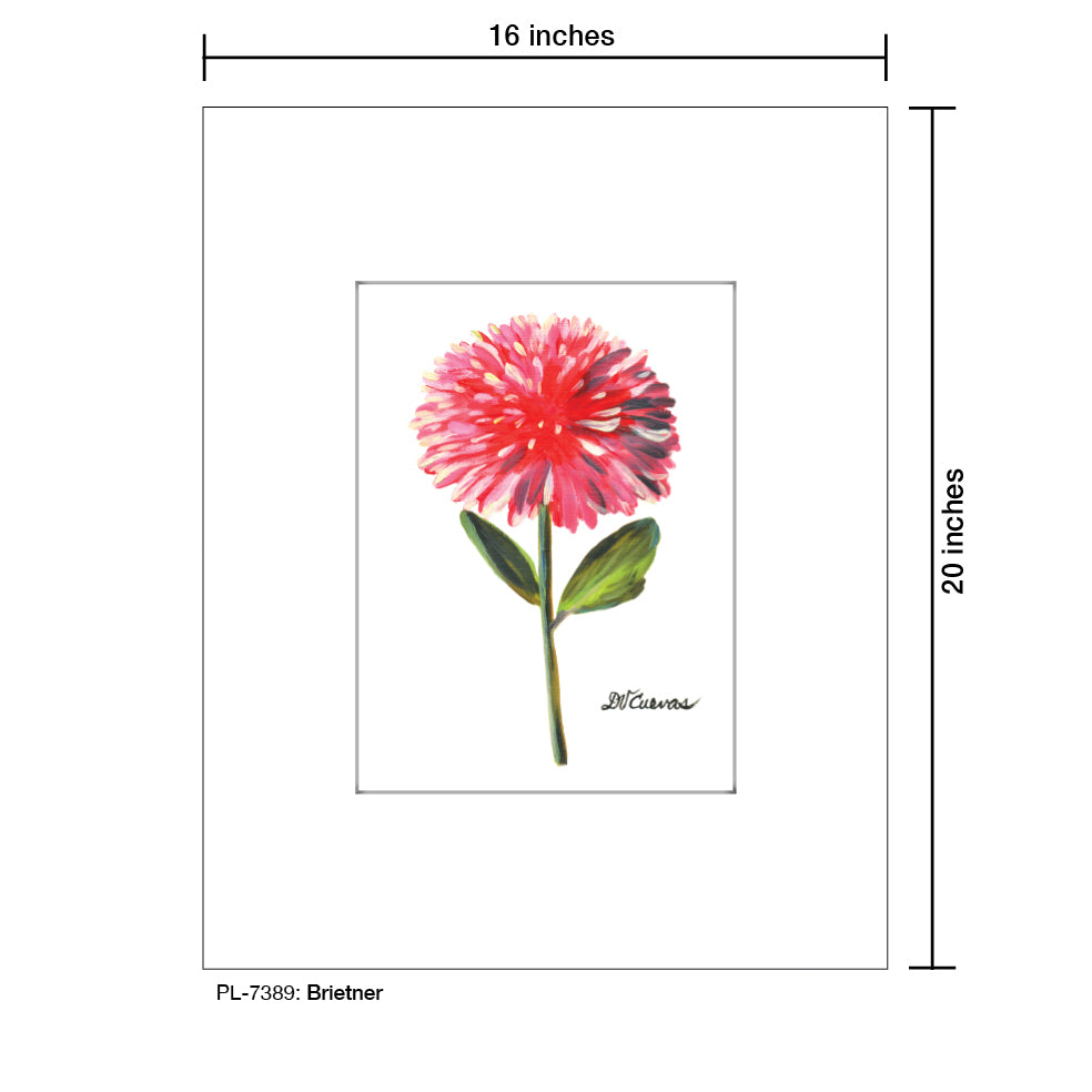 Brietner, Print (#7389A), Printe Matted, www.printedcanvas.com