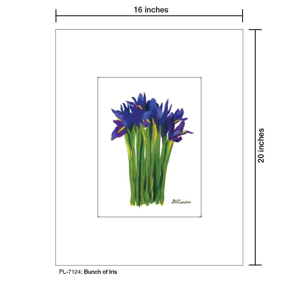 Bunch of Iris, Print (#7124A), Printe Matted, www.printedcanvas.com