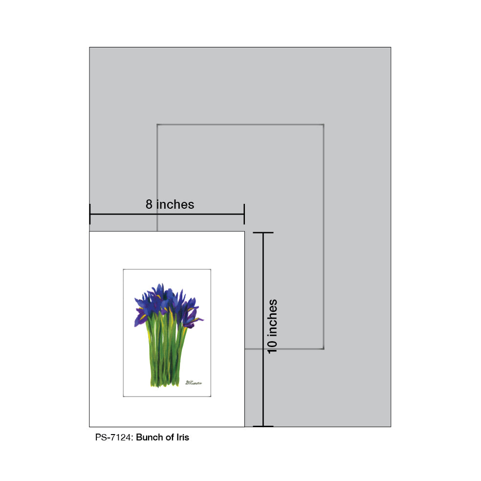 Bunch of Iris, Print (#7124A), Print Matted, www.printedcanvas.com