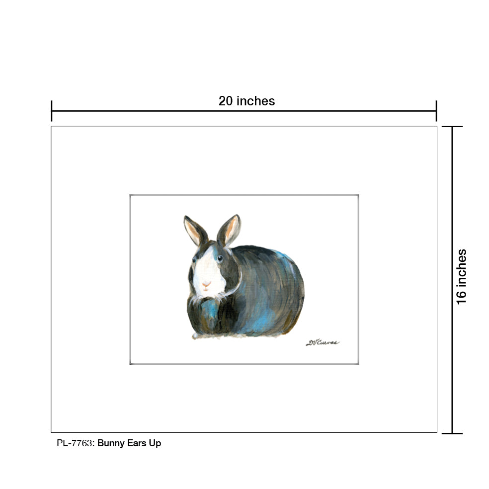 Bunny Ears Up, Print (#7763) - Printed Canvas