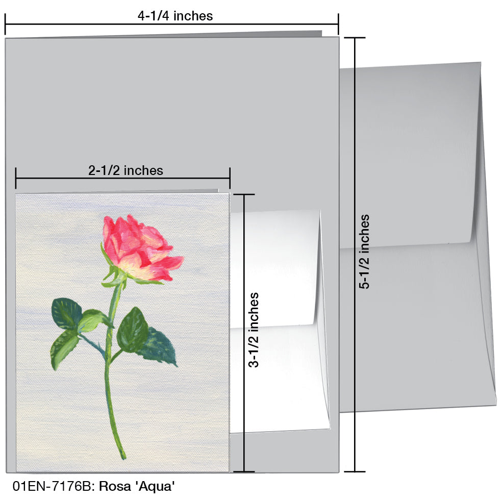 Rosa 'Aqua', Greeting Card (7176B), Enclosure, www.printedcanvas.com