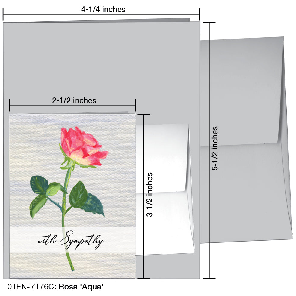Rosa 'Aqua', Greeting Card (7176C), Enclosure Card, www.printedcanvas.com