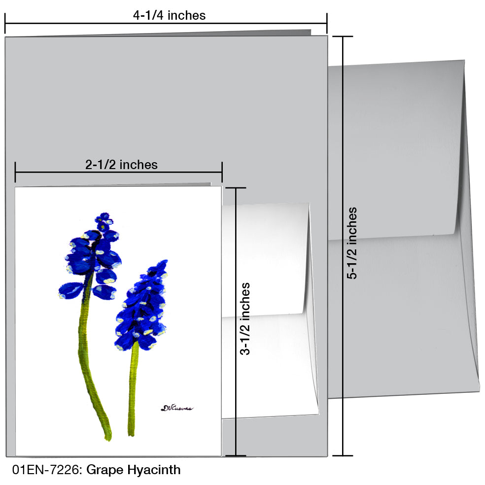 Grape Hyacinth, Greeting Card (7226A), Enclosure Card, www.printedcanvas.com