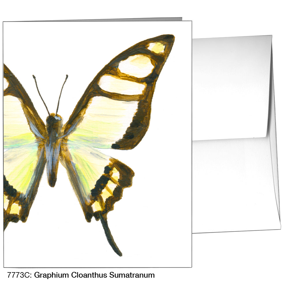 Graphium Cloanthus Sumatranum, Greeting Card (7773C), A2, printedcanvas.com