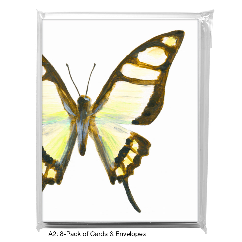Graphium Cloanthus Sumatranum, Greeting Card (7773C), A2 8-Pack, printedcanvas.com
