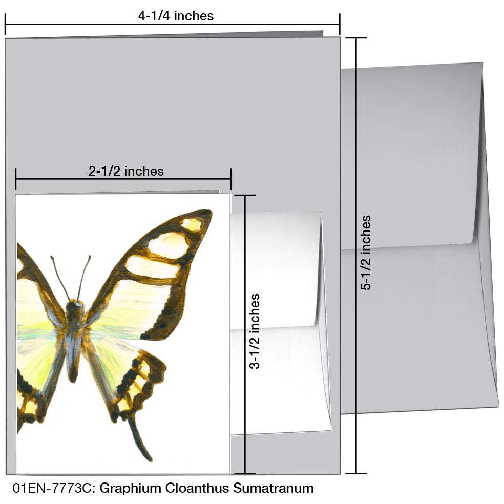 Graphium Cloanthus Sumatranum, Greeting Card (7773C), Enclosure, printedcanvas.com