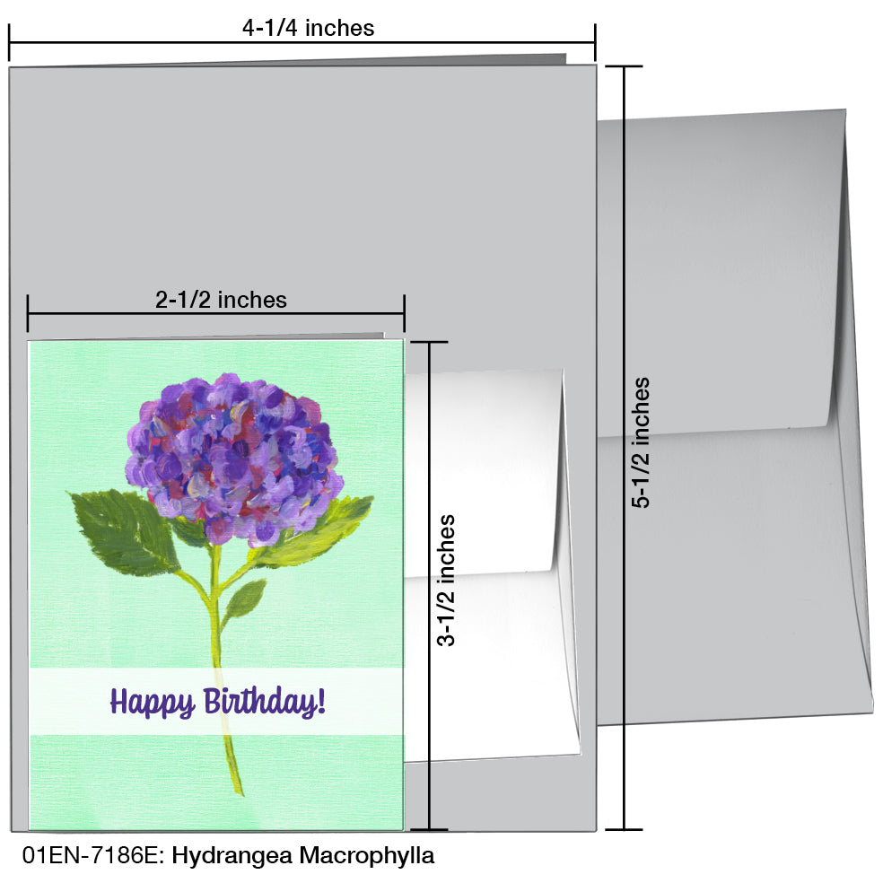 Hydrangea Macrophylla, Greeting Card (7186E), Enclosure, www.printedcanvas.com