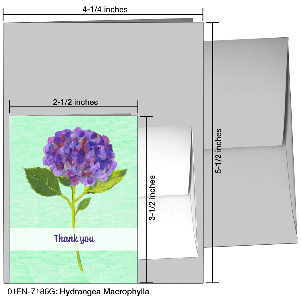 Hydrangea Macrophylla, Greeting Card (7186G), Enclosure Card, www.printedcanvas.com