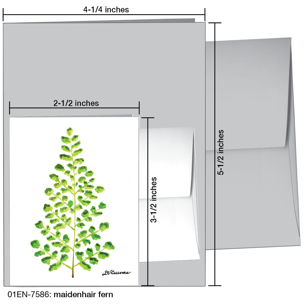 Maidenhair Fern, Greeting Card (7586), Enclosure, printedcanvas.com