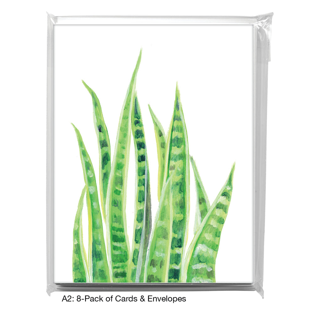 Snake Plant, Greeting Card (8711), A2 8-Pack, printedcanvas.com