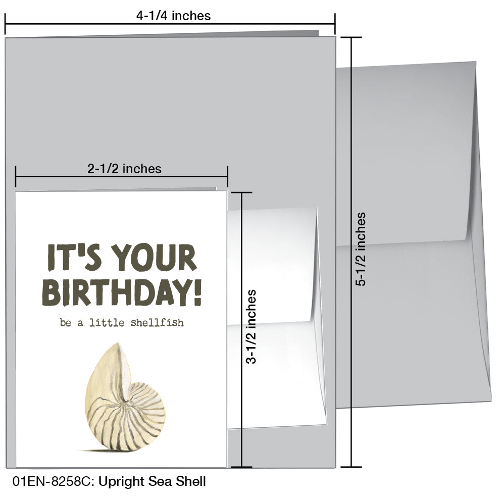 Upright Sea Shell, Greeting Card (8258C), Enclosure, www.printedcanvas.com