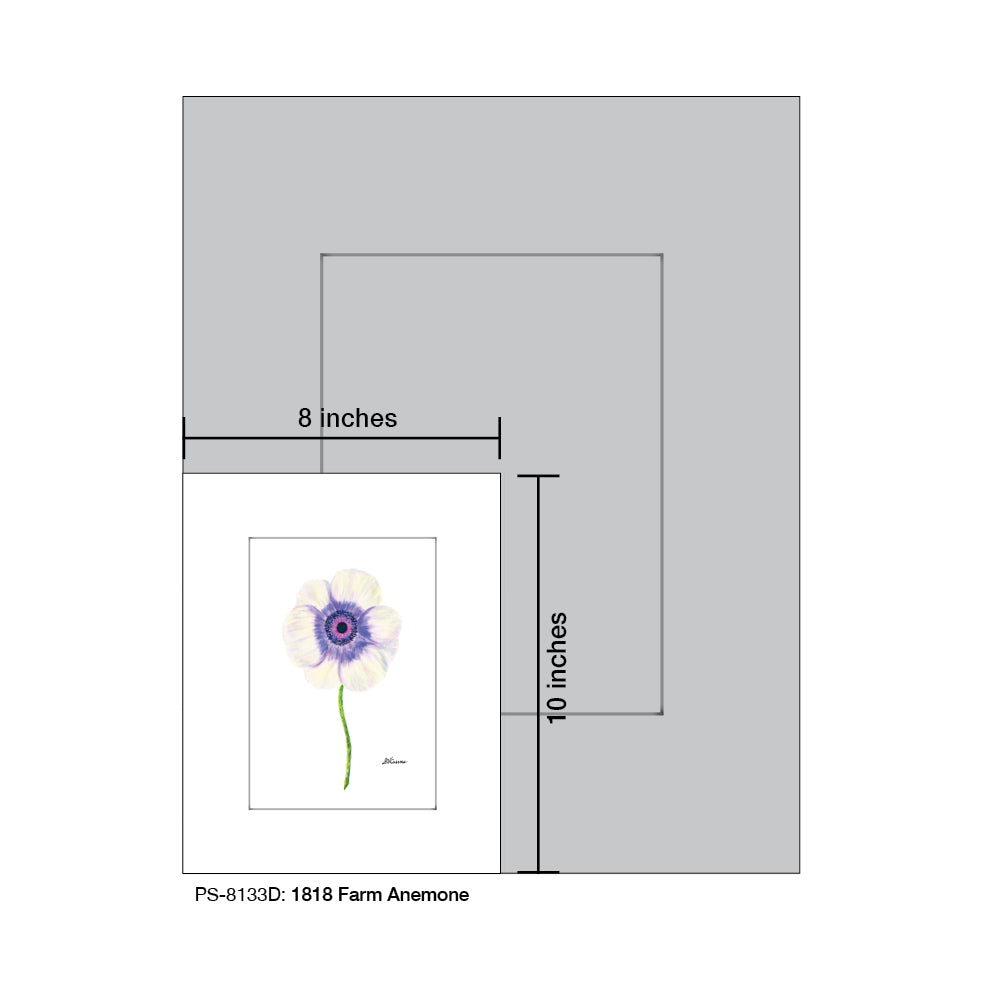 1818 Farm Anemone, Print (#8133D), Print Matted, www.printedcanvas.com