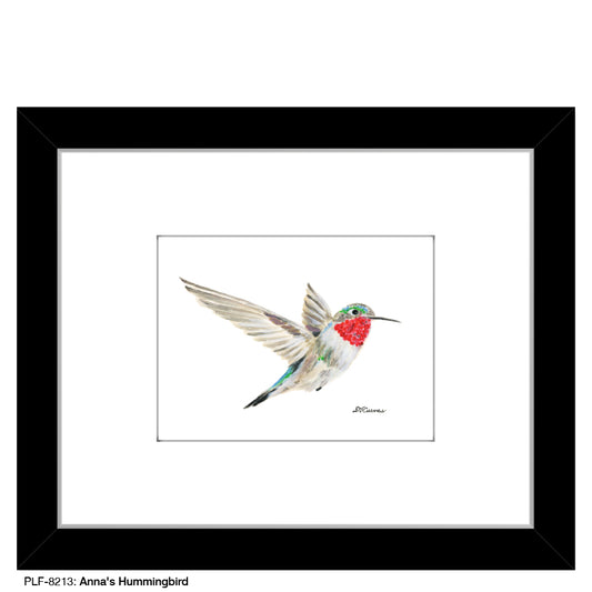 Anna's Hummingbird, Print (#8213A), Print Matted, www.printedcanvas.com