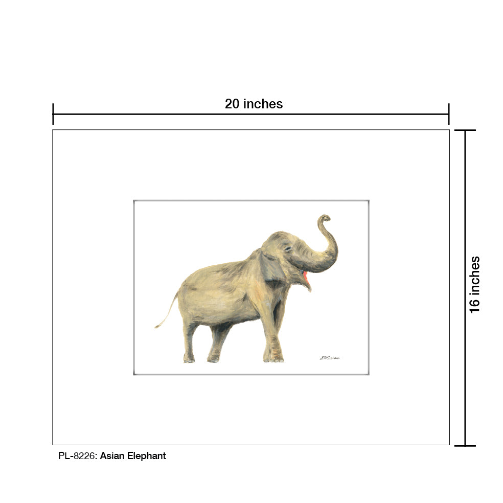 Asian Elephant, Print (#8226) - Printed Canvas