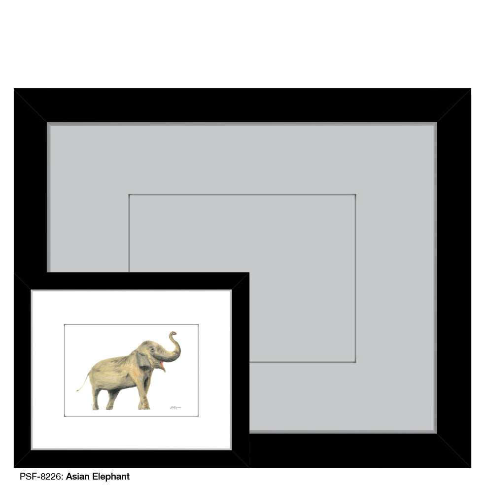 Asian Elephant, Print (#8226) - Printed Canvas