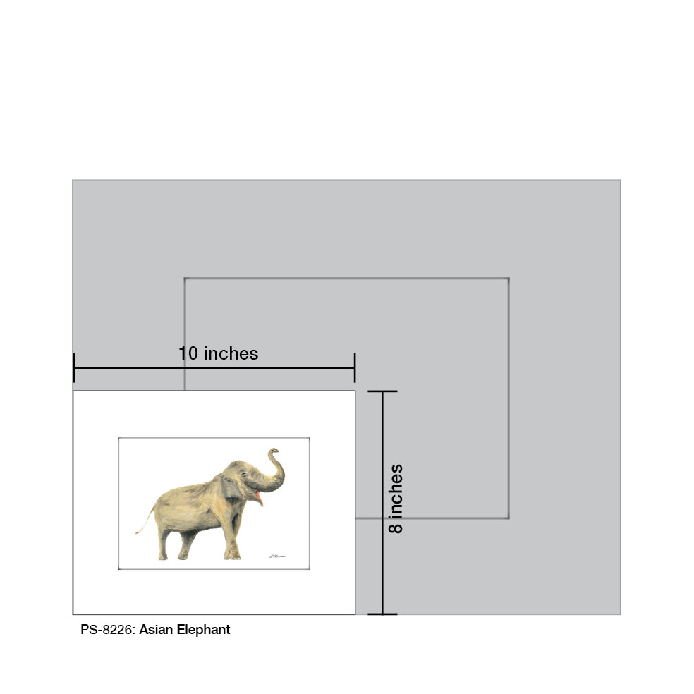 Asian Elephant, Print (#8226) - Printed Canvas