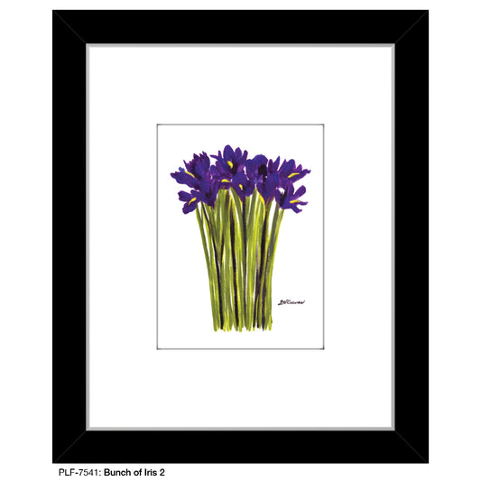 Bunch of Iris 2, Print (#7541A), Print Matted, www.printedcanvas.com