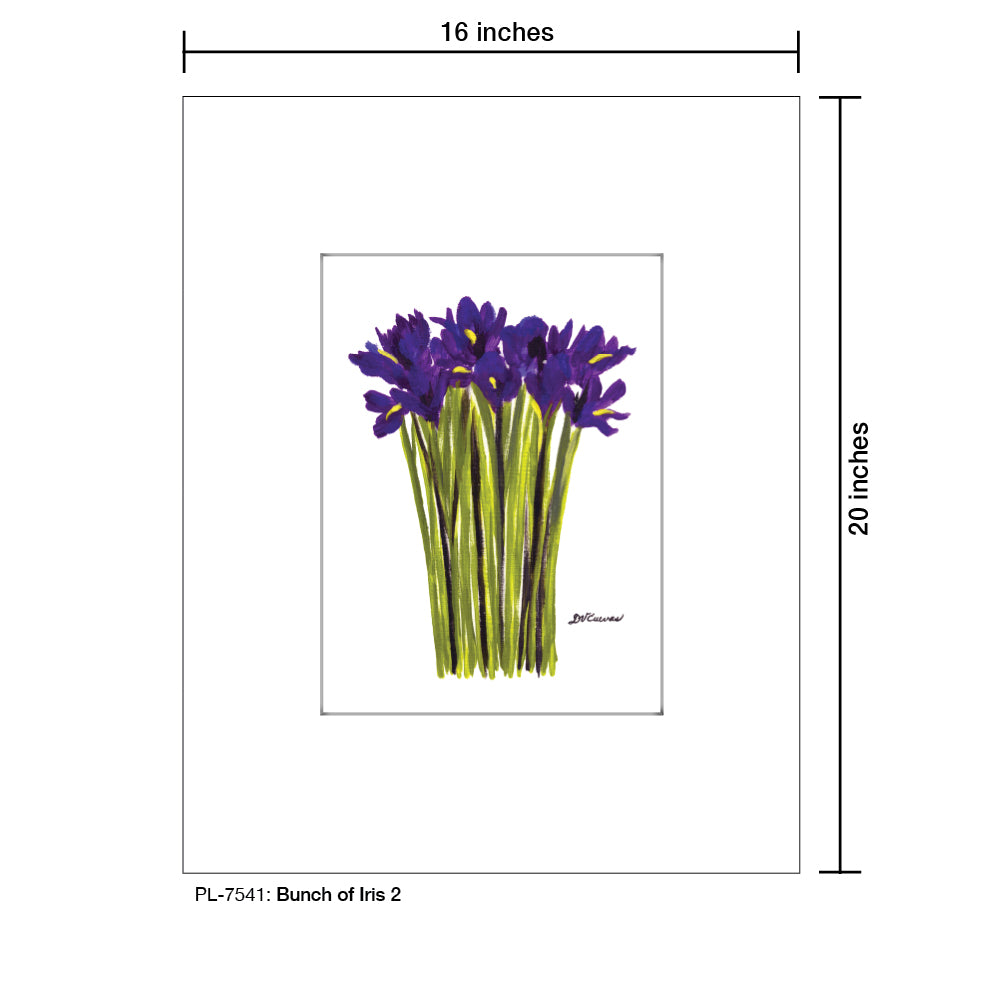 Bunch of Iris 2, Print (#7541A), Printe Matted, www.printedcanvas.com