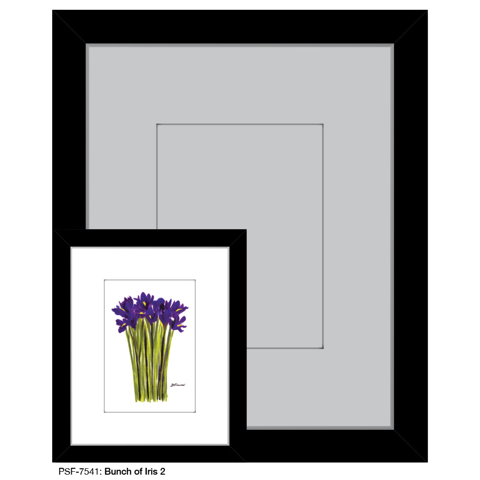 Bunch of Iris 2, Print (#7541A), Print Matted, www.printedcanvas.com