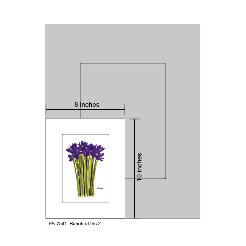 Bunch of Iris 2, Print (#7541A), Print Matted, www.printedcanvas.com