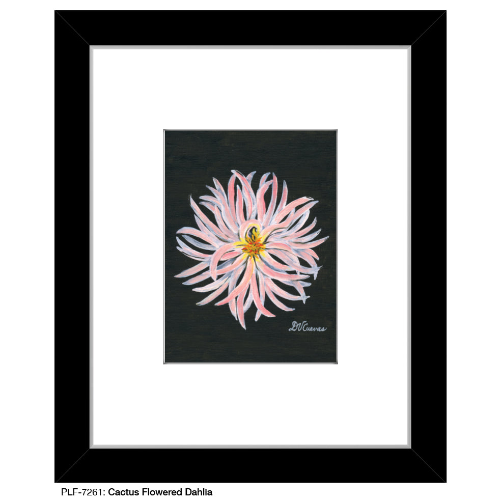 Cactus Flowered Dahlia, Print (#7261A), Print Matted, www.printedcanvas.com