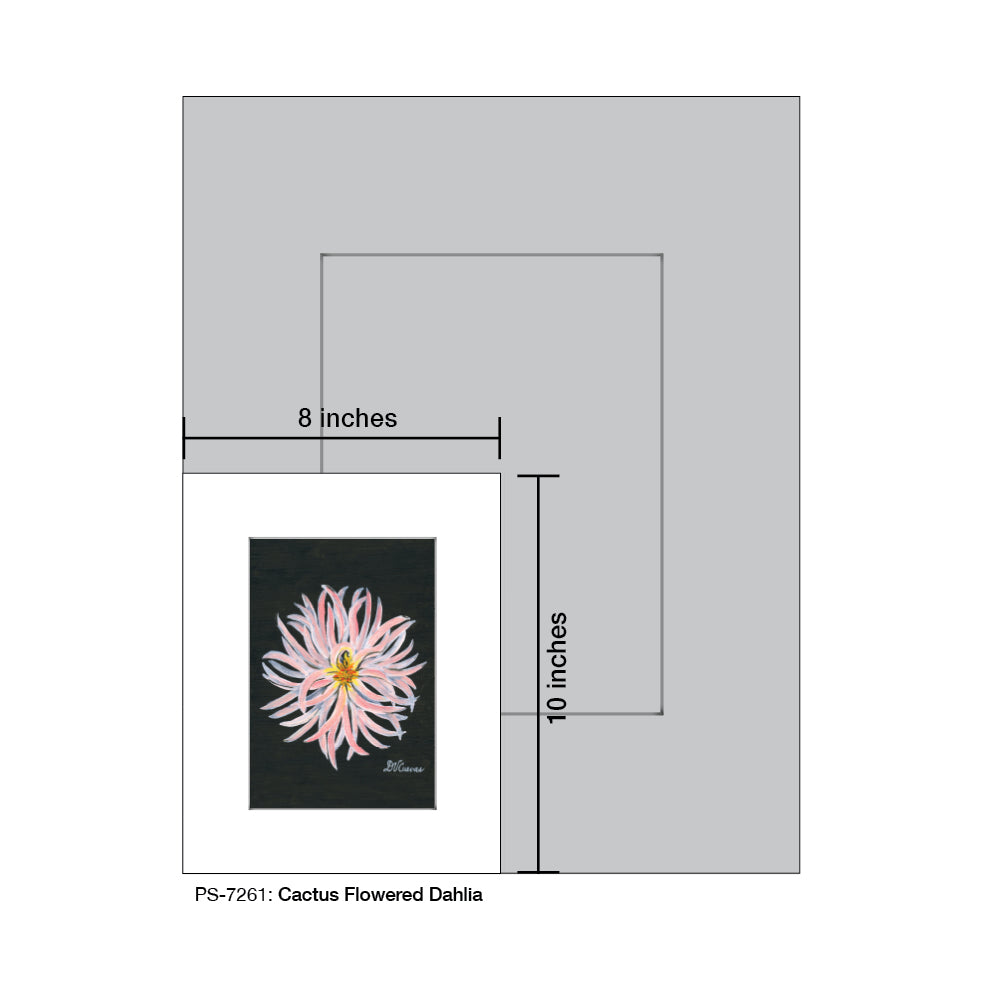 Cactus Flowered Dahlia, Print (#7261A), Print Matted, www.printedcanvas.com