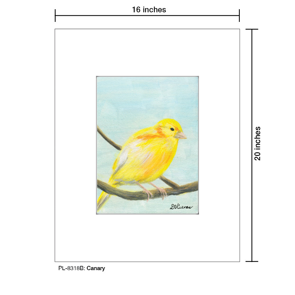 Canary, Print (#8318B), Printe Matted, www.printedcanvas.com