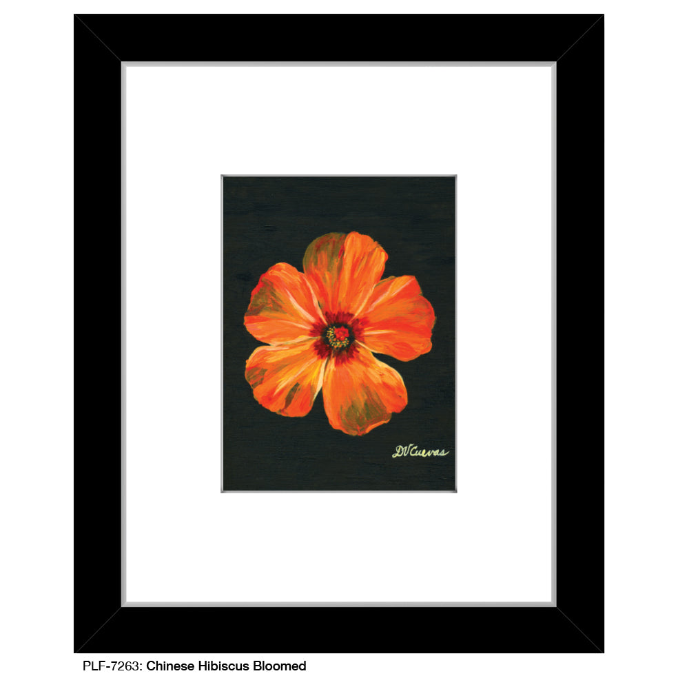 Chinese Hibiscus Bloomed, Print (#7263) - Printed Canvas