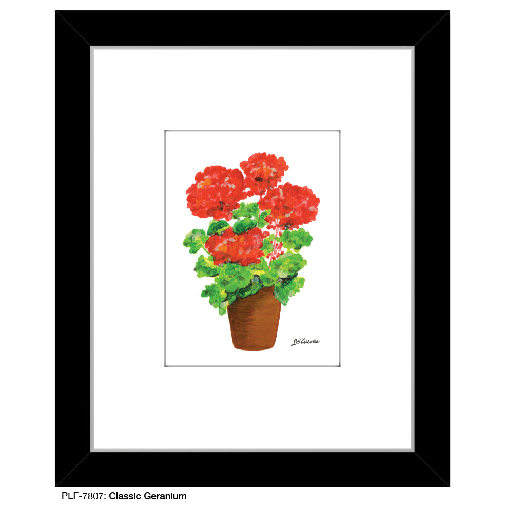 Classic Geranium, Print (#7807A), Print Matted, www.printedcanvas.com