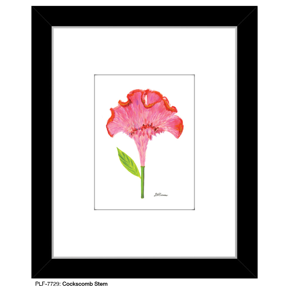 Cockscomb Stem, Print (#7729) - Printed Canvas